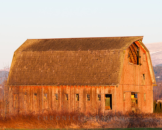 Barn, Skagit Valley (2010)