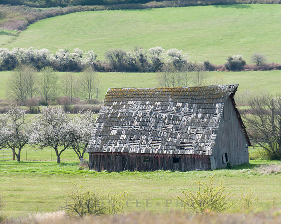 Barn, Orcas Island (2010)